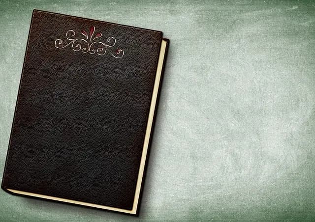 Cómo Usar la Curiosidad para Mejorar tu Aprendizaje Efectivamente