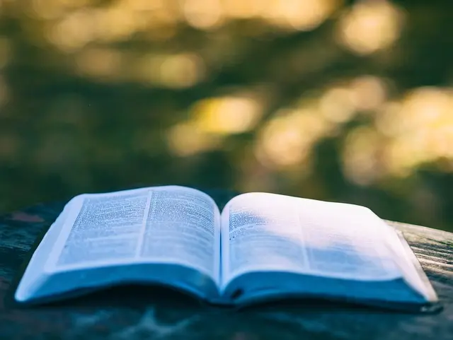 Cómo Mejorar tu Aprendizaje Usando Estrategias de Refuerzo