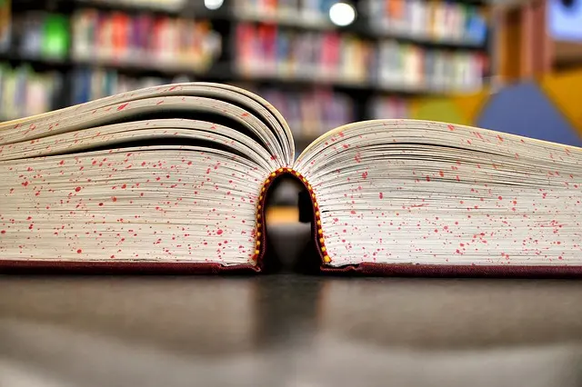 10 Consejos para Fomentar la Curiosidad en tu Aprendizaje