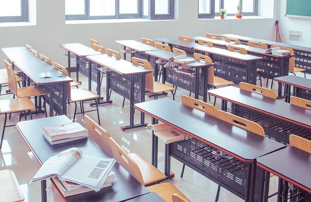Cómo Fomentar la Curiosidad para Mejorar Tu Aprendizaje